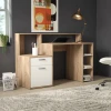 IVAN - Multi Storage Professional Computer Desk