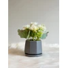 LUNA - Decorative Grey Mini Planter with White Flowers